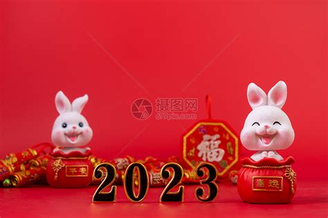 2023年是兔年嗎|2023是什么年？老人說“迎水兔 春秋不見天”